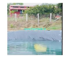 2.12 Acres Permaculture Farm for Sale Hunasanahalli