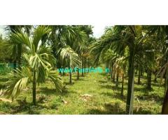 25 gunta Farm for Sale near Koratagere