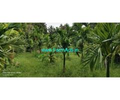 10 Acre 50 Cents Farm land for Sale near Kattil