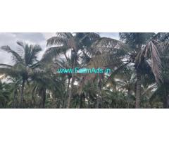 37.5 Guntas Agriculture Land for Sale near Yediyur