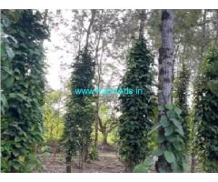5.5 Acres River Attached Property Sale Between Sakleshpur Belur