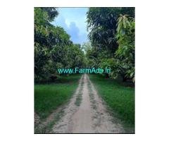 Farmhouse For Sale In Bannerghatta Road Bangalore Off Harohalli Road