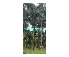 20 acres agriculture land sale near Belthangady