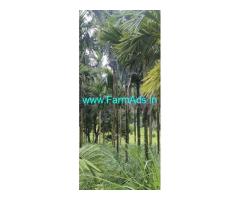20 acres agriculture land sale near Belthangady