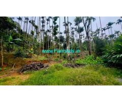 Farmland for sale in Attappadi 2.90 acres