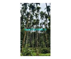 3 acre plantation Sale at Attappadi