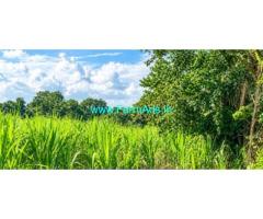 2 acres plain Agri land sale near Belgaum