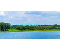 2 Acre Lake View agri land For Sale Piriyapatna