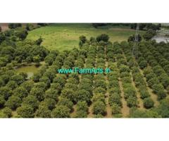 1.31 Acre Agriculture Land For Sale With Mango Trees