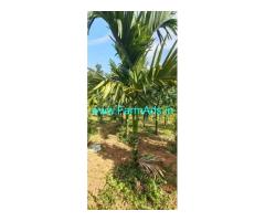 18 acres agriculture land sale near Belthangady