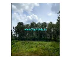12.5 Cent Land for Sale Near Panamaram