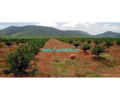 54 Acres Income Generating Fully Developed Farm for Sale Hanur