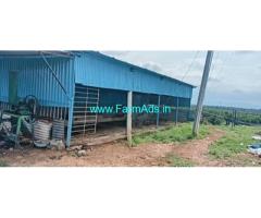 54 Acres Income Generating Fully Developed Farm for Sale Hanur
