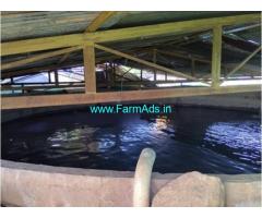 54 Acres Income Generating Fully Developed Farm for Sale Hanur