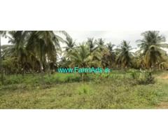 32 Acres developed farmland for sale near Gubbi