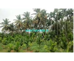 3.30 Acres partially yielding Areca plantation Sale near Koratagere