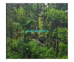 Agriculture land for sale near punjalkatte 5.45 acres