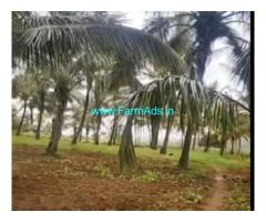 4 Acre Farm Land For Sale Hassan