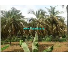 6 Acres yielding coconut Farm Sale Kondli cross,Hathyal Narasimha Swamy