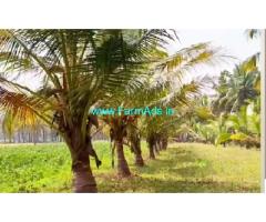 14 Gunta Coconut Farmland Sale in Channapatna