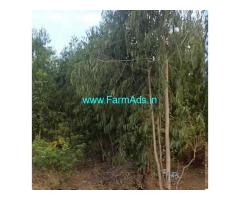 1 Acre 14 Guntas Farm Land for Sale near Mandya