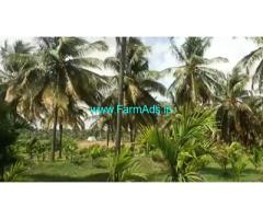 25 Acres developed farmland for sale near Tumkur