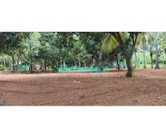 1 Acre 57 Cents Premium Farmhouse for Sale Near Kallavi