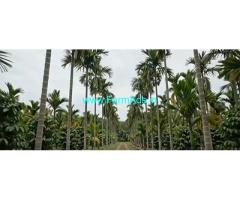 95 acre Areca nut,coconut estate for sale HD Kote