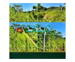 4.50 Acre agri Land with 2 Acre Extra Kumki Land For Sale at Mudigere
