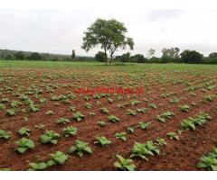 3 Acres Agriculture Land for sale in Bannikuppe - Hunsur - Mysore