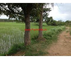 7 Acres Agriculture land for sale on KRS Main Road - Mysore