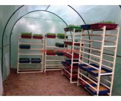 Certified Organic Farm (1.4 Acres) for sale in Magadi