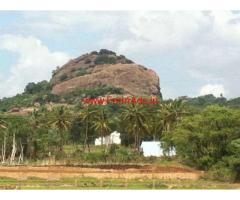 6.06 Acres farm land for sale in Kodihalli - Kanakapura