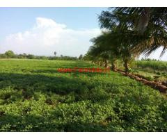 2 Acres Agriculture Land for sale in Vennilai, Uppidamangalam