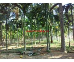 2 Acres Coconut and Areca Farm Land for sale near Sira