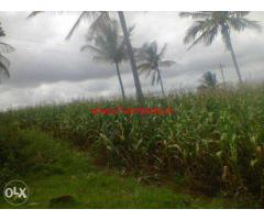 4 acre agricultural farm land for sale at Berigai close to Bangalore