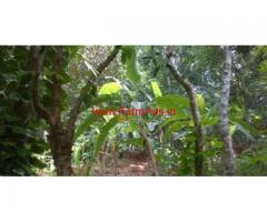 50 Cents Agriculture Land for sale at Perumpazhuthoor,