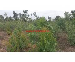 4 acres  land for sale 34 km from Mysore at Navilur