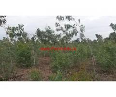 4 acres  land for sale 34 km from Mysore at Navilur