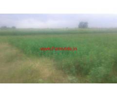 2 Acres Agriculture Land for sale at Nhavi Sandas
