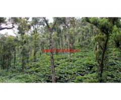 100 Acres Cardamom Estate for sale in Sivagiri - Tirunelveli