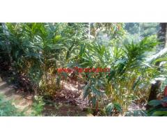 1.77 Acres Pepper and Cardamom Estate for sale in idukki
