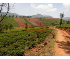 3 Acres Tea Estate for sale in Doddabetta -- Ooty