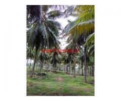 23 acres Coconut Farm with Farm House for sale at Pollachi