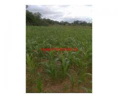 30 Acres Farm Land for sale in Palacode - Dharmapuri