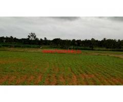 3.10 acres agriculture land for sale Near nanjangud.