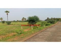 9 Acres Very cheap agriculture land for sale near Tirunelveli