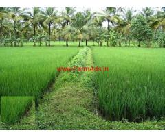 Half  Acre Agriculture Land for sale at Bhimavaram - Lanchila Revu