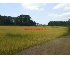 3.24 Acres Wet land for sale Buddivalsa - Sarubujjili - Srikakulam
