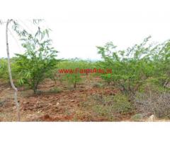13 acres beautiful farm land for sale near berigai hosur.